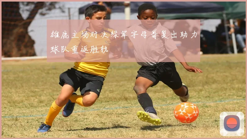 雄鹿主场对决绿军字母哥复出助力球队重返胜轨